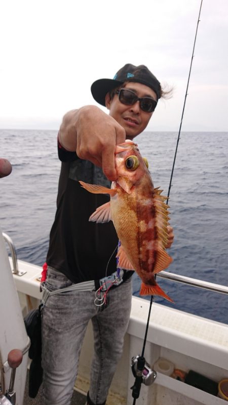 ARCADIAⅡ (アルカディアⅡ) 釣果