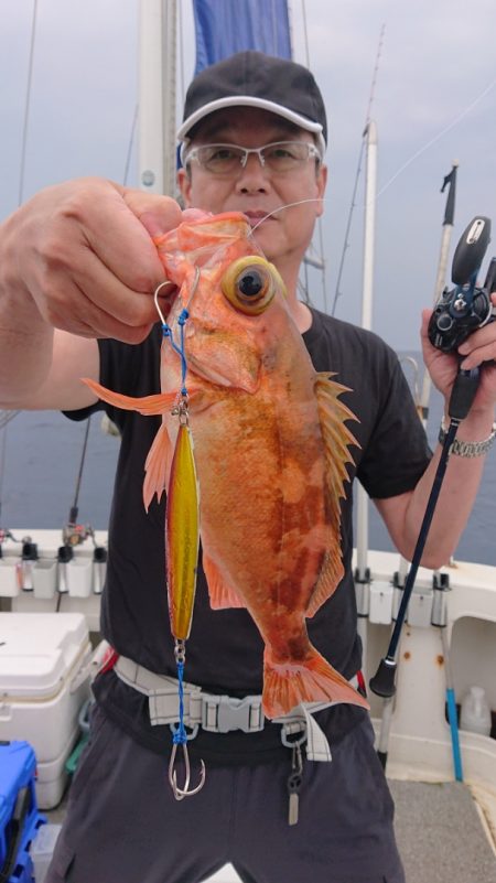 ARCADIAⅡ (アルカディアⅡ) 釣果