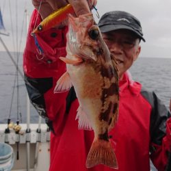 ARCADIAⅡ (アルカディアⅡ) 釣果