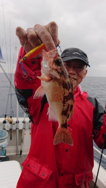 ARCADIAⅡ (アルカディアⅡ) 釣果