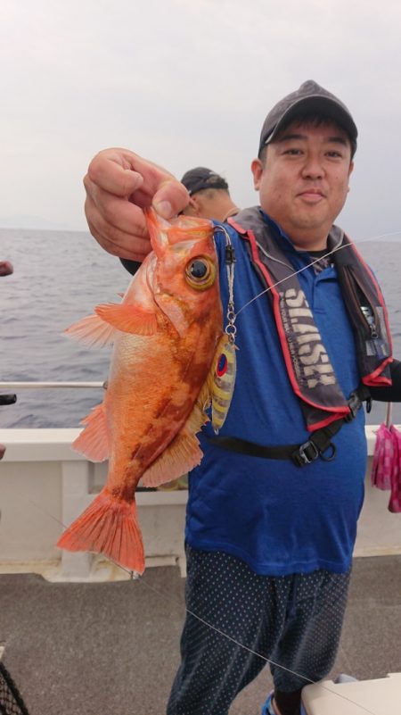 ARCADIAⅡ (アルカディアⅡ) 釣果