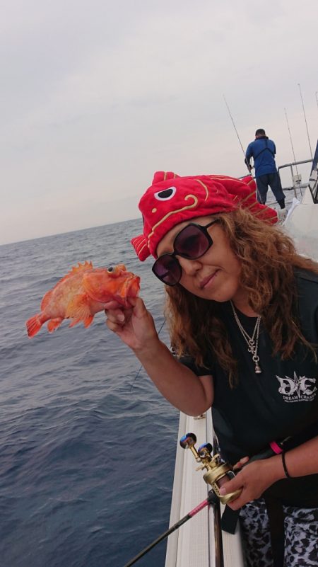 ARCADIAⅡ (アルカディアⅡ) 釣果