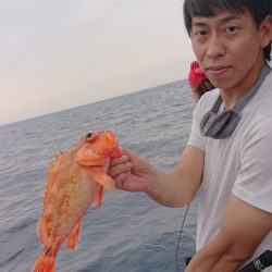 ARCADIAⅡ (アルカディアⅡ) 釣果