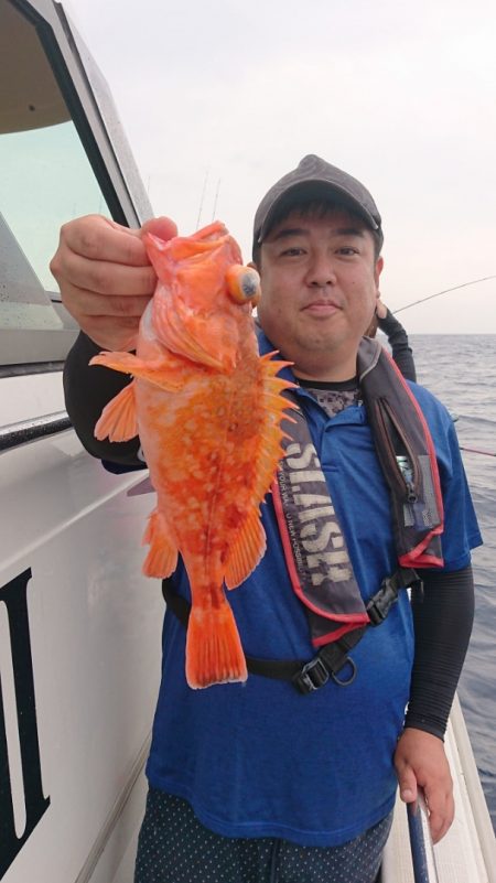 ARCADIAⅡ (アルカディアⅡ) 釣果