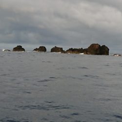 金沢八景鴨下丸 釣果