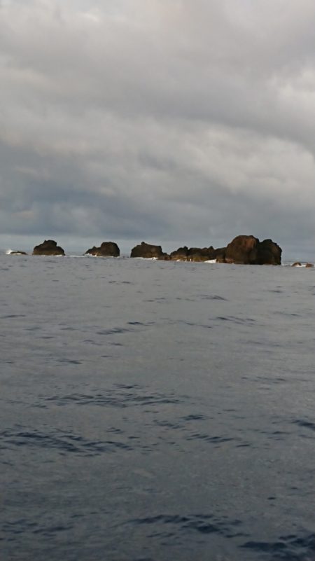 金沢八景鴨下丸 釣果