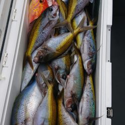 金沢八景鴨下丸 釣果