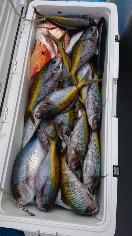 金沢八景鴨下丸 釣果