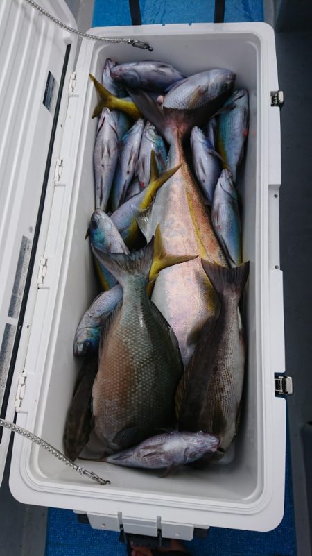 金沢八景鴨下丸 釣果