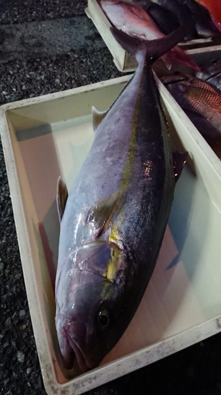 金沢八景鴨下丸 釣果