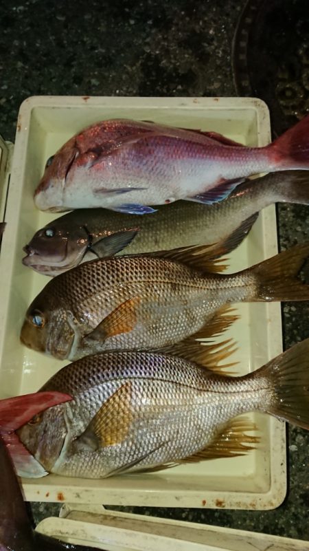 金沢八景鴨下丸 釣果