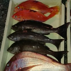 金沢八景鴨下丸 釣果