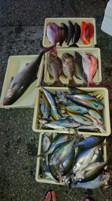 金沢八景鴨下丸 釣果