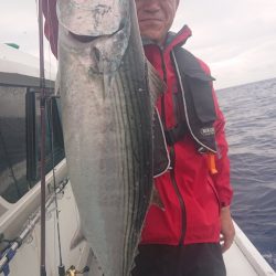 だて丸 釣果