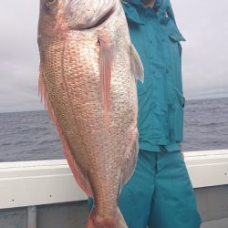 だて丸 釣果