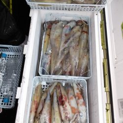 第二龍勢丸 釣果