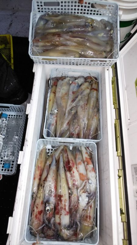 第二龍勢丸 釣果