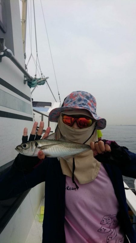 金沢八景鴨下丸 釣果