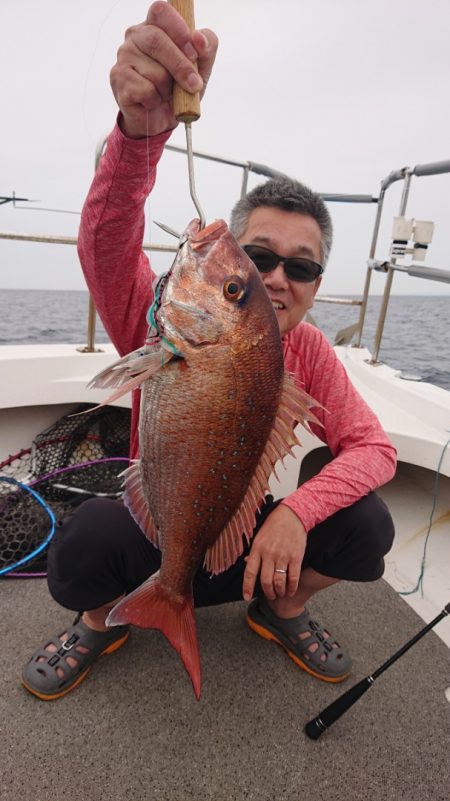 ARCADIAⅡ (アルカディアⅡ) 釣果