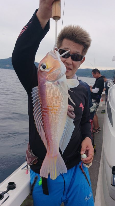 ARCADIAⅡ (アルカディアⅡ) 釣果