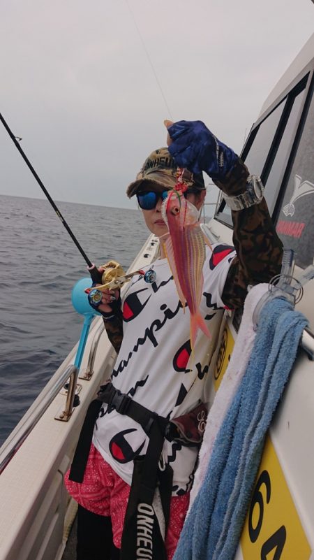 ARCADIAⅡ (アルカディアⅡ) 釣果