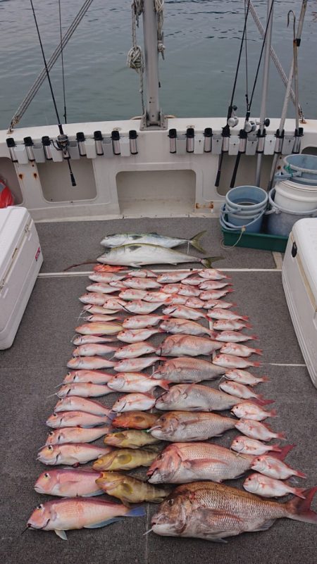 ARCADIAⅡ (アルカディアⅡ) 釣果