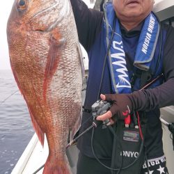 だて丸 釣果