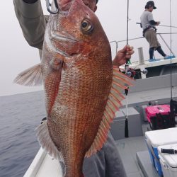 だて丸 釣果