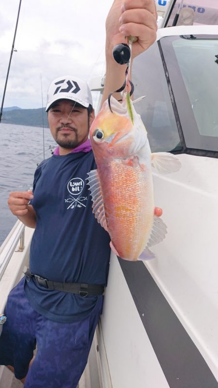 ARCADIAⅡ (アルカディアⅡ) 釣果