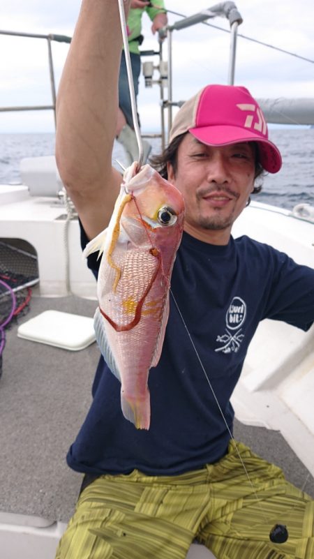 ARCADIAⅡ (アルカディアⅡ) 釣果