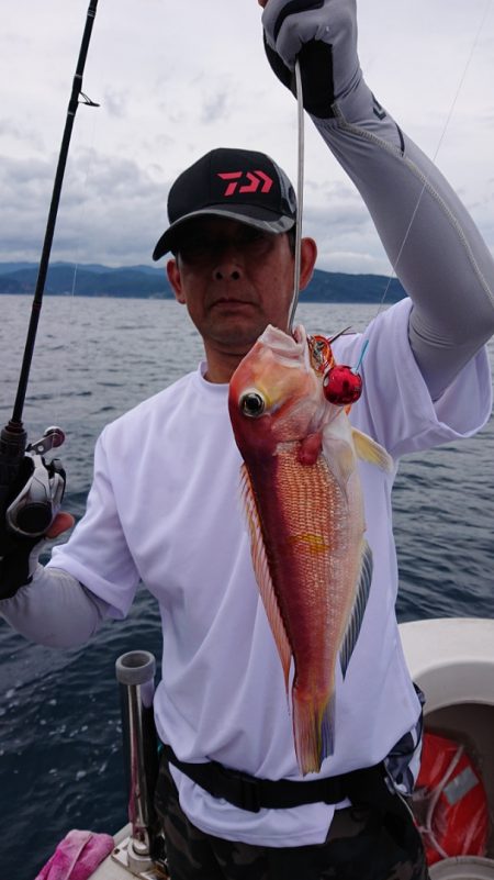 ARCADIAⅡ (アルカディアⅡ) 釣果