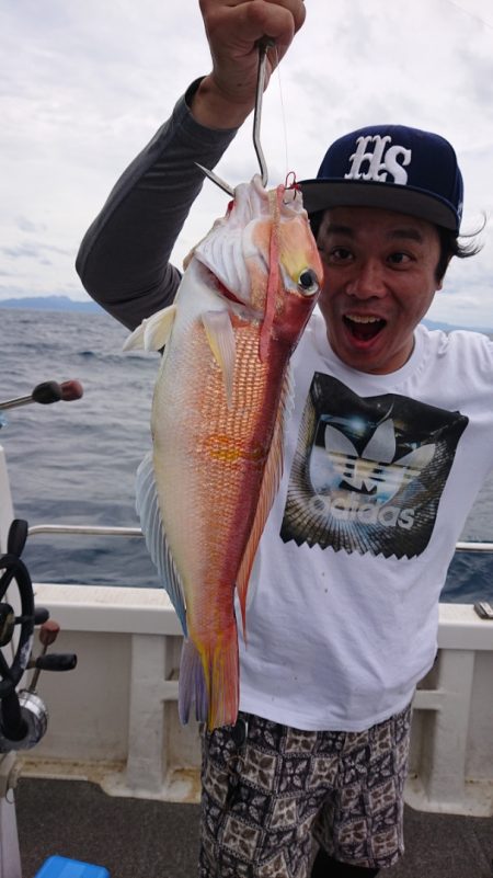 ARCADIAⅡ (アルカディアⅡ) 釣果