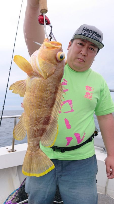 ARCADIAⅡ (アルカディアⅡ) 釣果