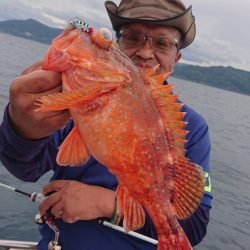 ARCADIAⅡ (アルカディアⅡ) 釣果