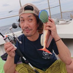 ARCADIAⅡ (アルカディアⅡ) 釣果