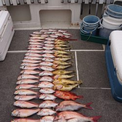 ARCADIAⅡ (アルカディアⅡ) 釣果