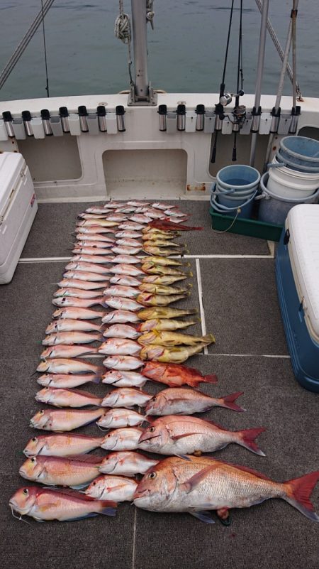 ARCADIAⅡ (アルカディアⅡ) 釣果