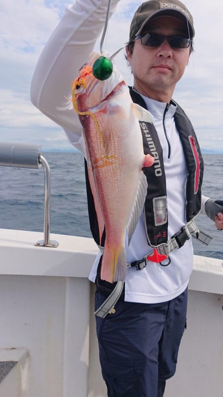 ARCADIAⅡ (アルカディアⅡ) 釣果