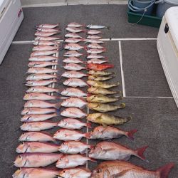 ARCADIAⅡ (アルカディアⅡ) 釣果