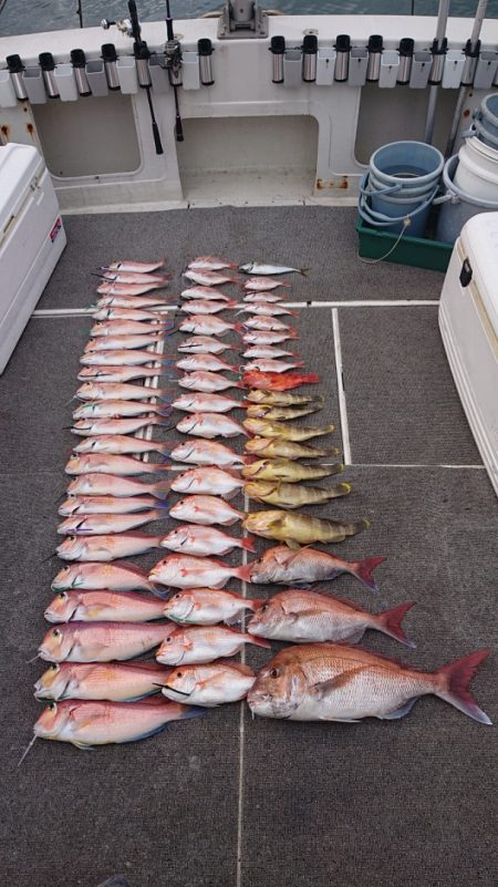 ARCADIAⅡ (アルカディアⅡ) 釣果