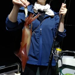 LUSTER『ラスター』 釣果