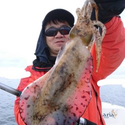 きずなまりん 釣果