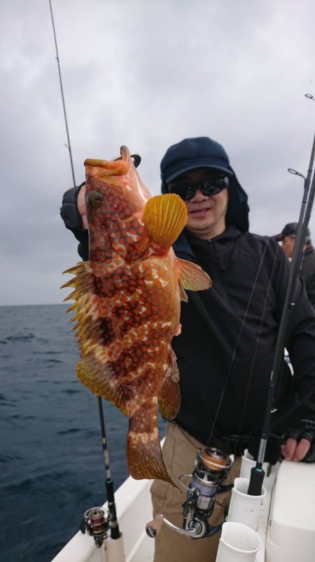 きずなまりん 釣果