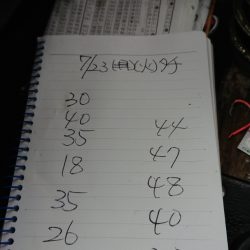 金沢八景鴨下丸 釣果