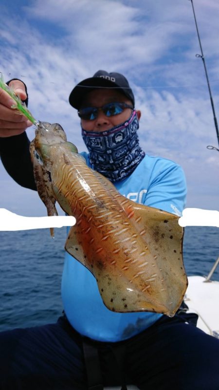 きずなまりん 釣果