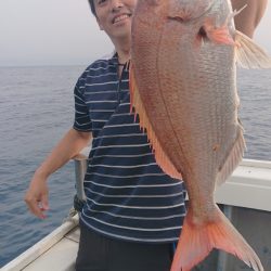 だて丸 釣果