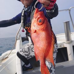 だて丸 釣果