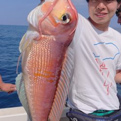 ARCADIAⅡ （アルカディアⅡ） 釣果