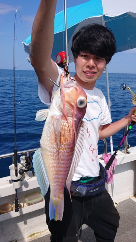 ARCADIAⅡ （アルカディアⅡ） 釣果