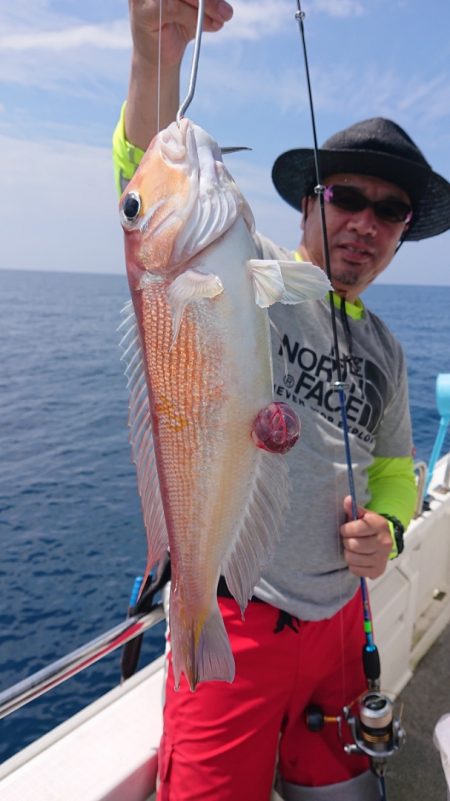 ARCADIAⅡ （アルカディアⅡ） 釣果